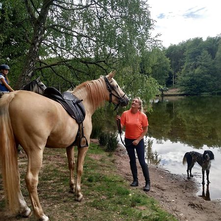 L'Echappee Verte - Gite Equestre 5 Pers Soucht Exteriör bild