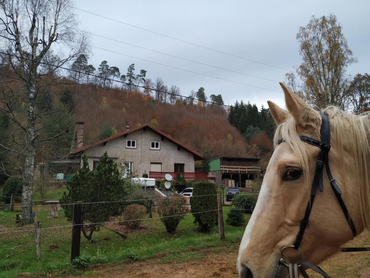 L'Echappee Verte - Gite Equestre 5 Pers Soucht Exteriör bild