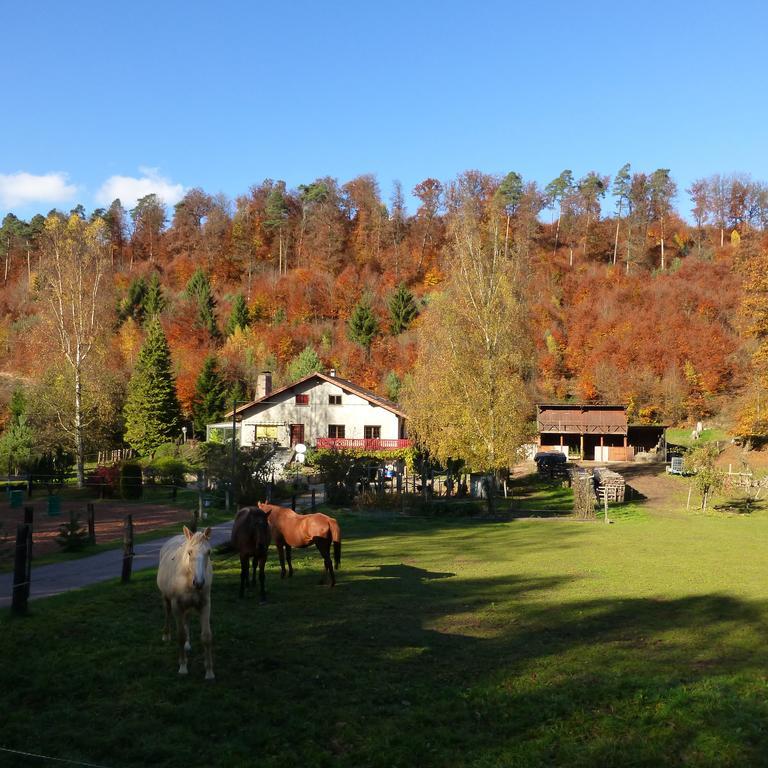 L'Echappee Verte - Gite Equestre 5 Pers Soucht Rum bild