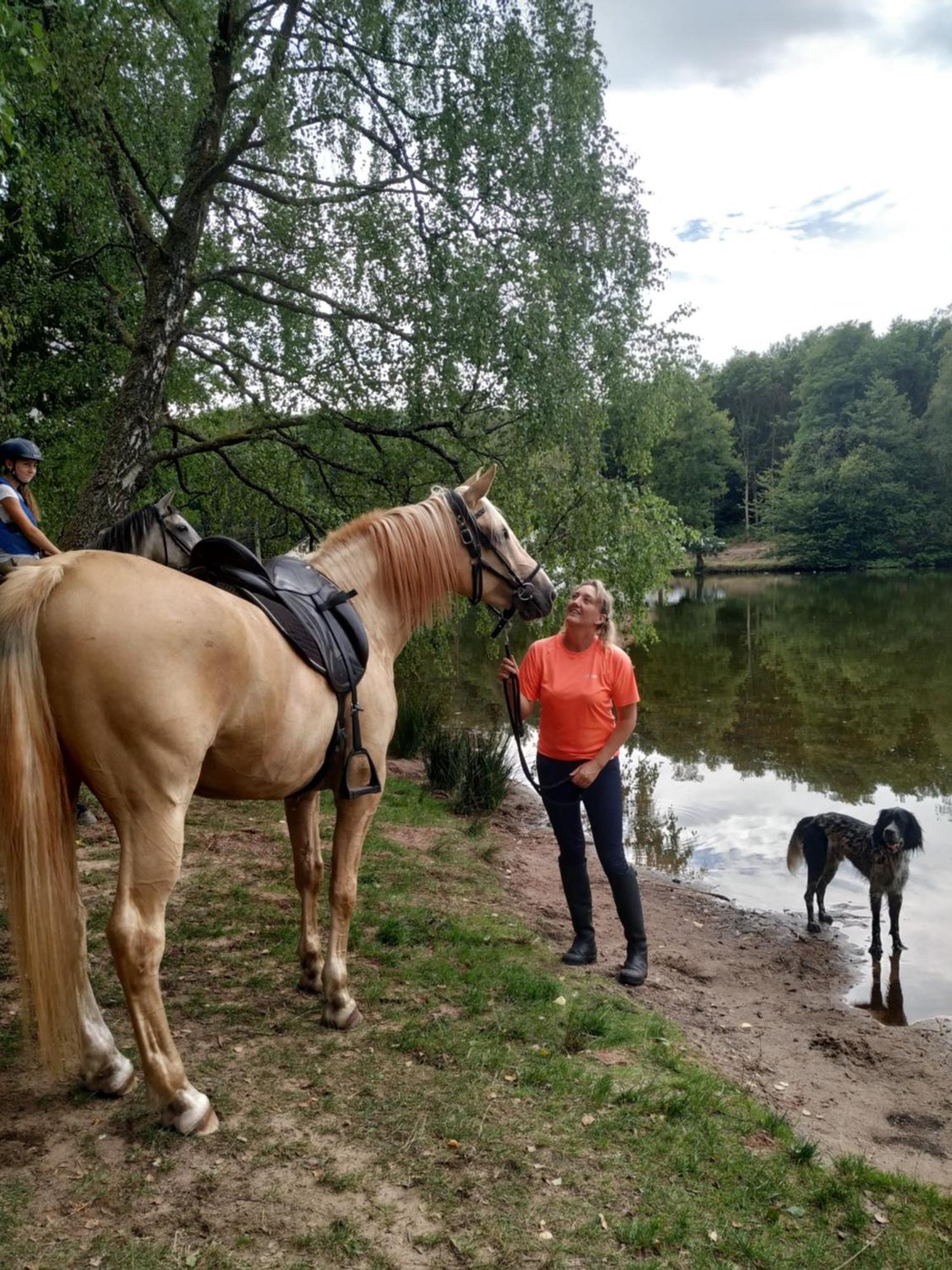 L'Echappee Verte - Gite Equestre 5 Pers Soucht Exteriör bild