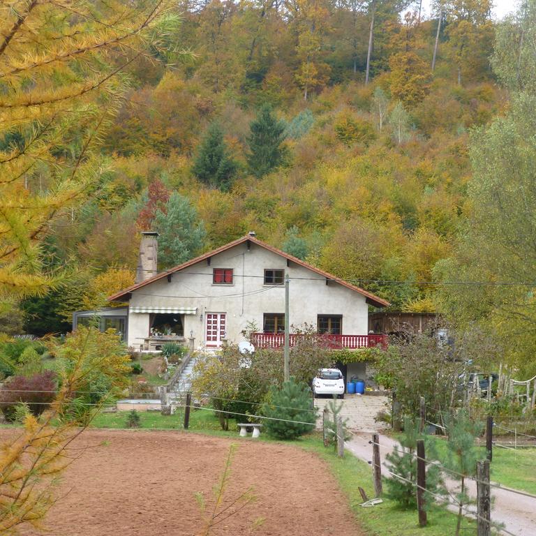 L'Echappee Verte - Gite Equestre 5 Pers Soucht Exteriör bild