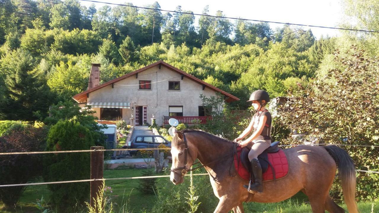 L'Echappee Verte - Gite Equestre 5 Pers Soucht Exteriör bild